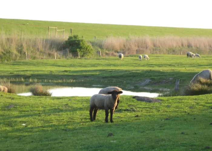 Haus Halligblick, Ferienwohnungen Am Wattenmeer, Whg Hamburger Hallig