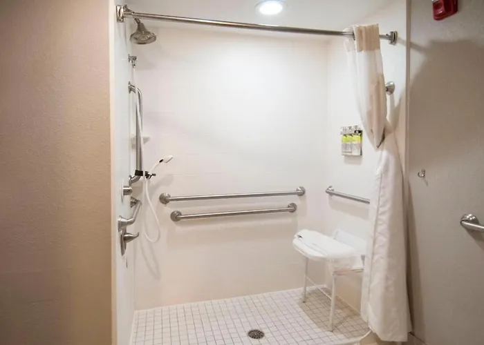 King Bed Hotel Room 221