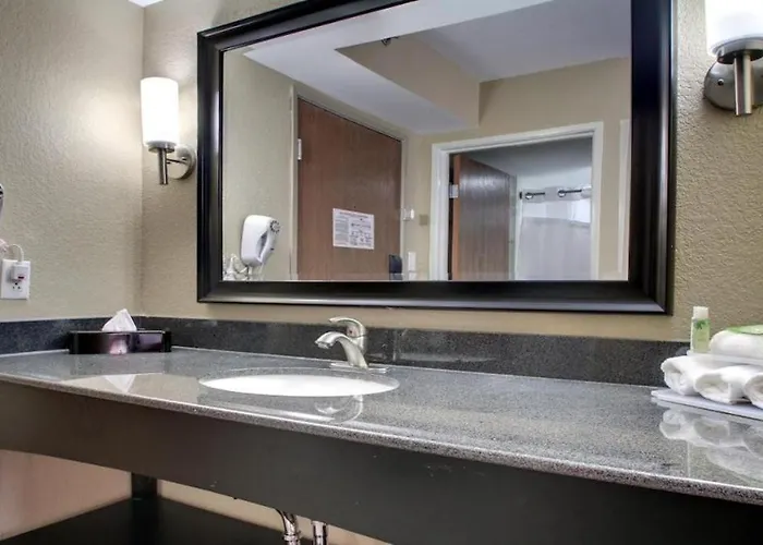 King Bed Hotel Room 221