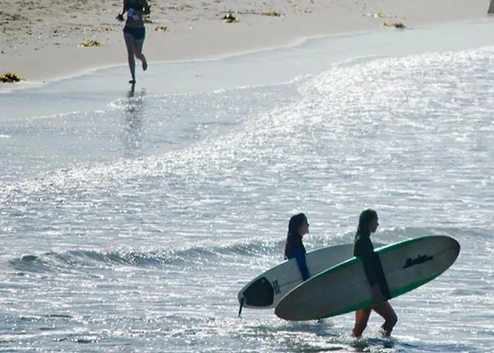 Venice Beach Apartments Monthly Rents