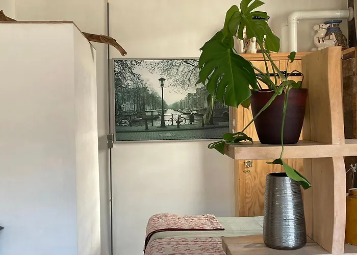 Studio Gerenoveerde Winkel