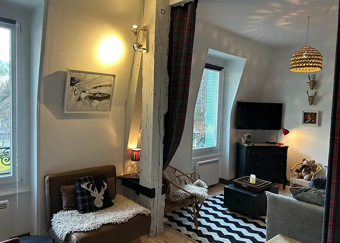 Cosy T2 Au Mont Dore Sauna Prive Et Vue Montagne Proche Thermes