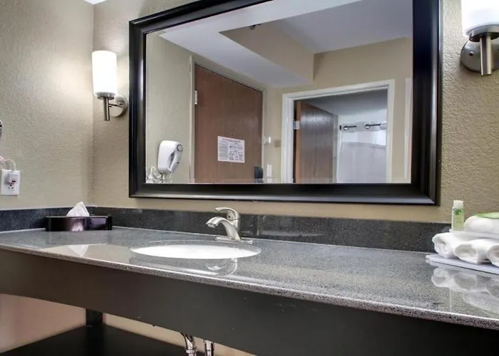 Queen Bed Hotel Suite 244