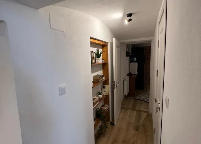 Tim Apartment 1