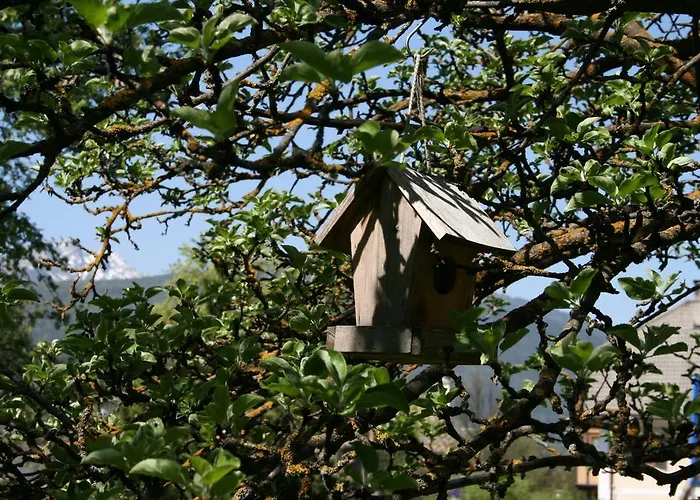 Apperlehof