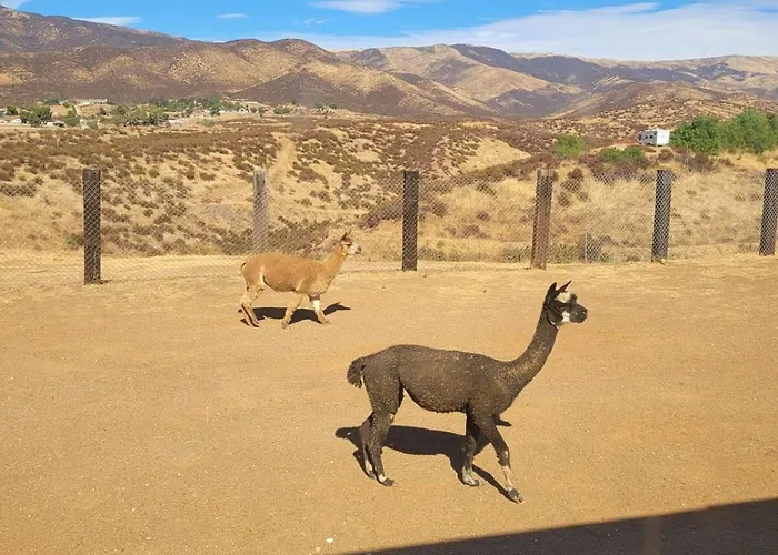 Alpaca Rustic Ranch-Peaceful & Breathtaking Views