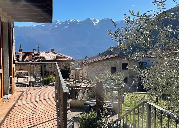 Casa Teodoro - Gelsomino, Ulivi & Orchidea