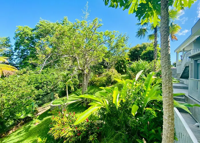 Les Orchidees De Sainte-Anne