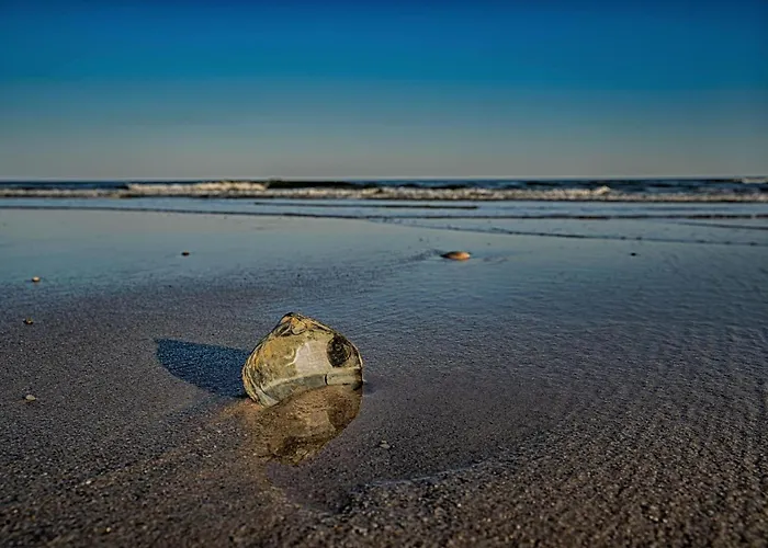 Jersey Shore Getaway