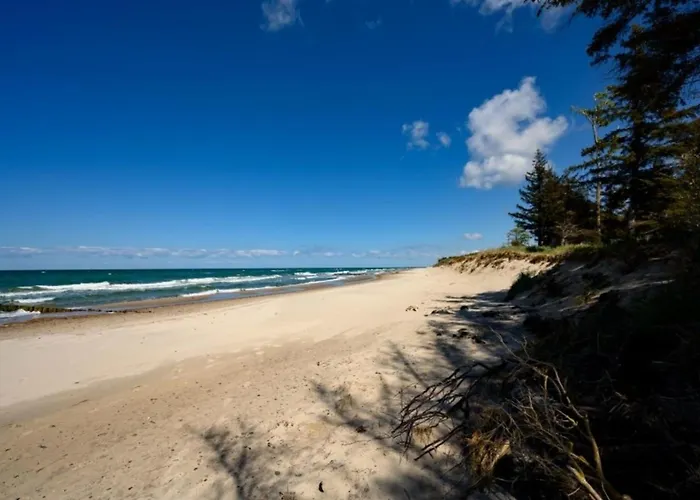 Strandnelke