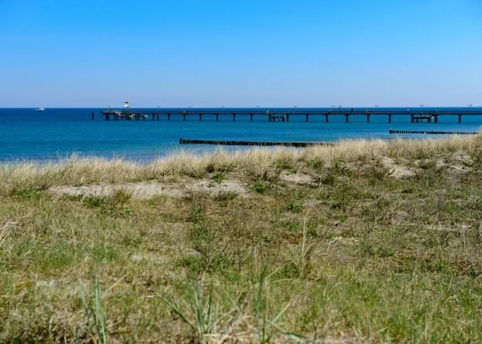 Strandnelke