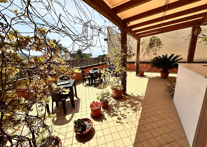 B&B Dora 2,0