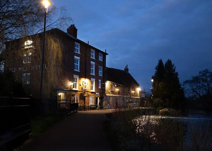 Pet Friendly hotel: The Old Mill Hotel