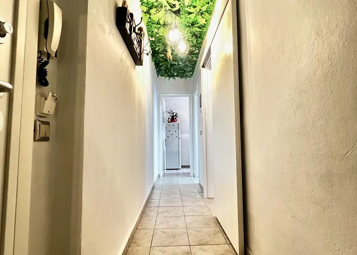 Jungle In The City ,Corfu - Kanoni