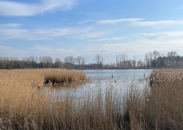 Ferienidyll Bartling Haus Vineta Wg8 In Zempin !Keine Extrakosten!