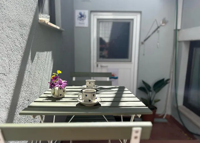 Studio Polvo