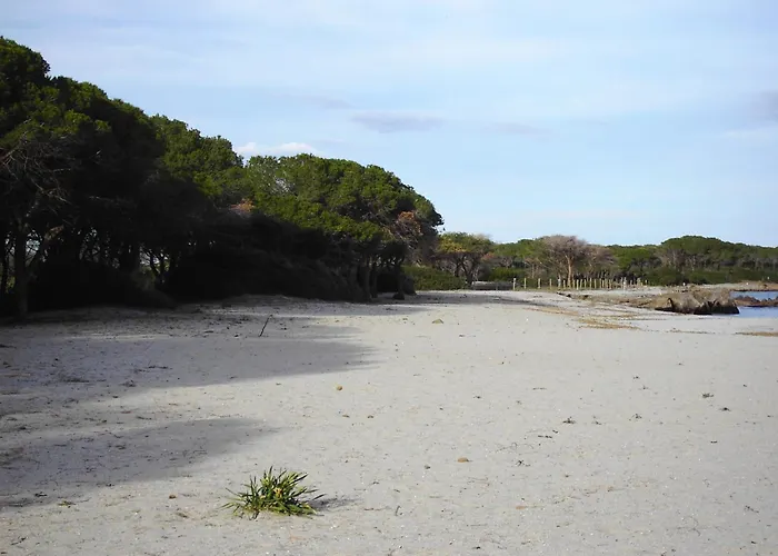 Casetta Sul Mare
