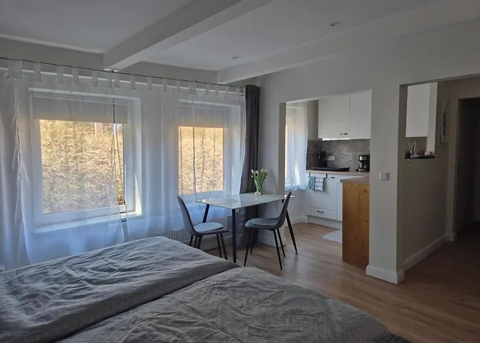 Ruhige Einzimmerwohnung