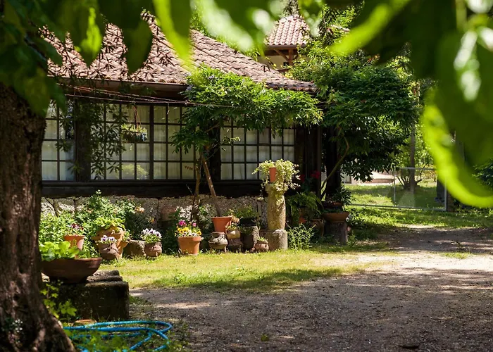 Cabine: Chalé da Quinta Lavoura da Bouça - Fruta Bio
