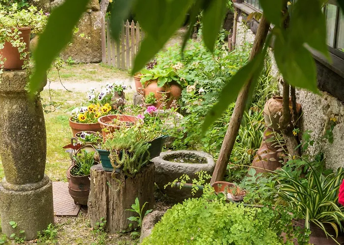 Cabine: Chalé da Quinta Lavoura da Bouça - Fruta Bio