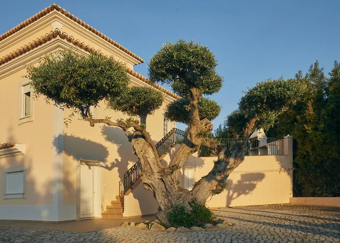 Monte Das Oliveiras With Private Pool