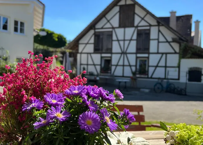 Besonderes Apartment Im Gruenen Nahe Ravensburg I Sonniger Balkon & Parkplatz
