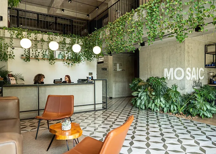 Mosaic Studios Buenavista