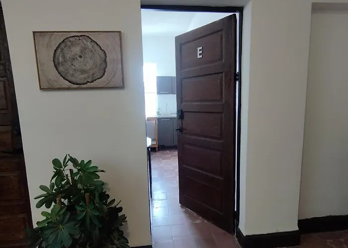 Dgm Lofts Mty Mn 960 E Centro Cerca De Todo