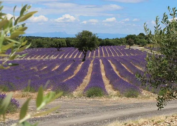 Arceau De Saint Martin