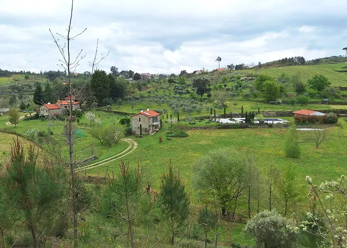 Orange Olives - Quinta Chao De Galizes