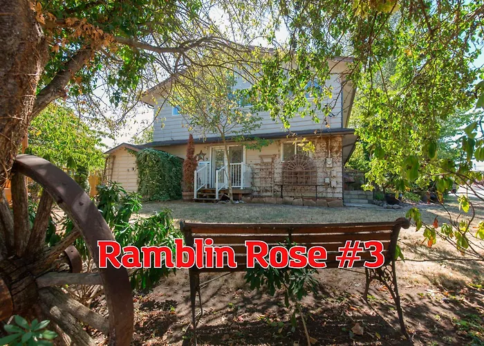 Sq Ramblin Rose 3