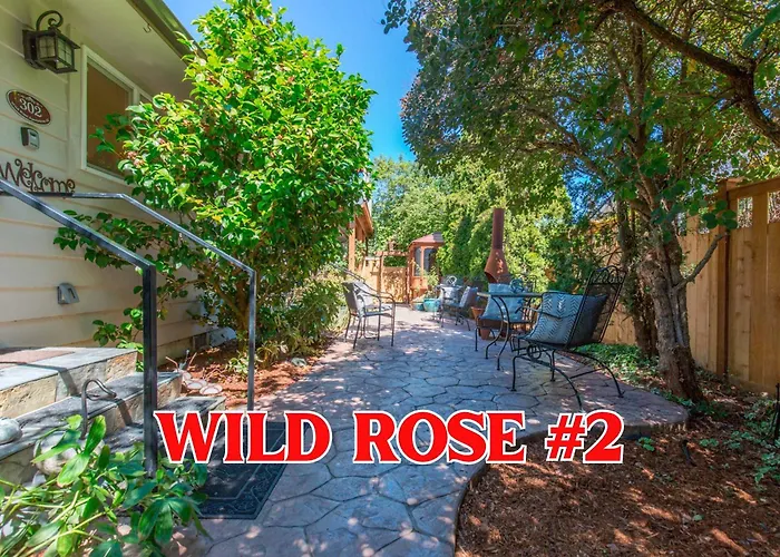 Sq Wild Rose 2