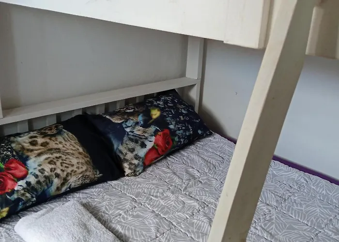 Ry Nest1