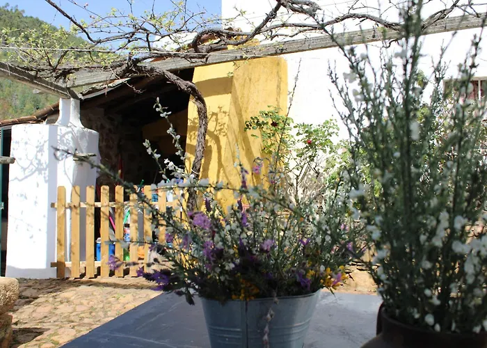 Casa do Olho D'Água