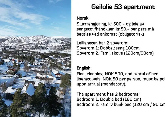 Geilolie - Apartment In Geilo
