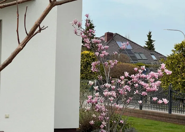 Apartamenty Bursztynowe