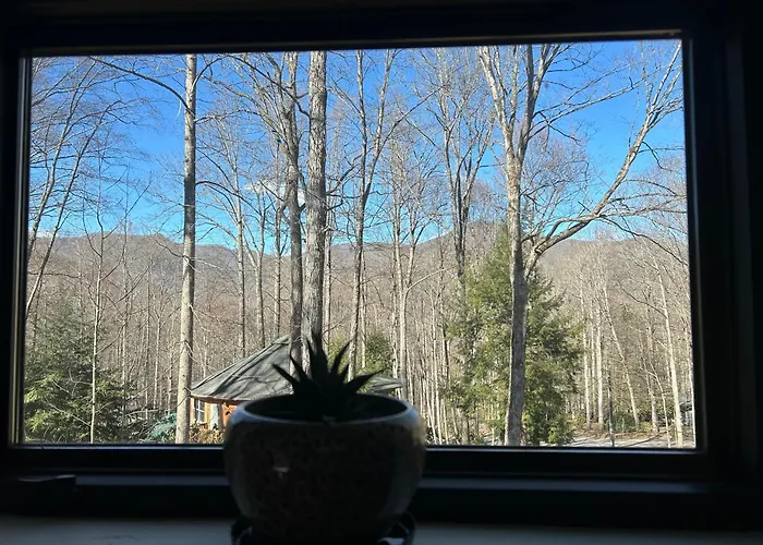 Treetops