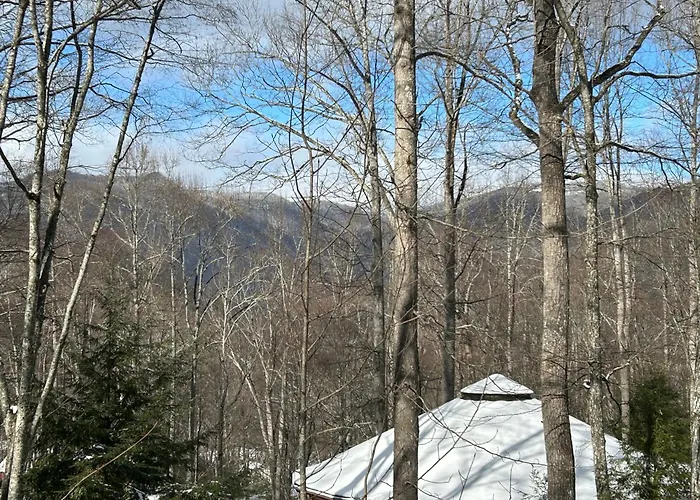Treetops