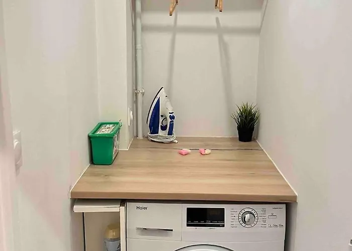 Appartement Spacieux Aux Portes Du Vieux-Lille