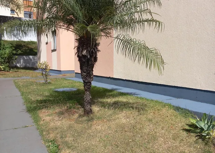 Mi Casa Su Casa 3