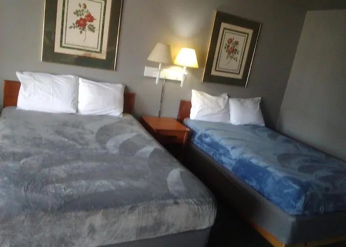 King Bed Hotel Studio 102