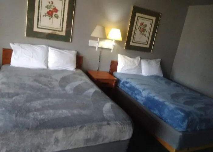 King Bed Hotel Studio 101