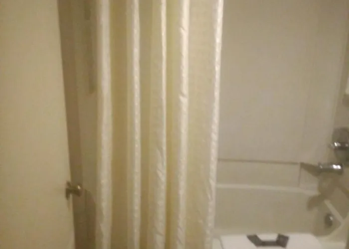 2 Double Beds Hotel Studio 137