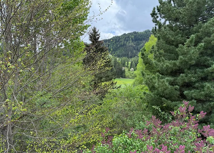 Auszeit Im Holzhaus