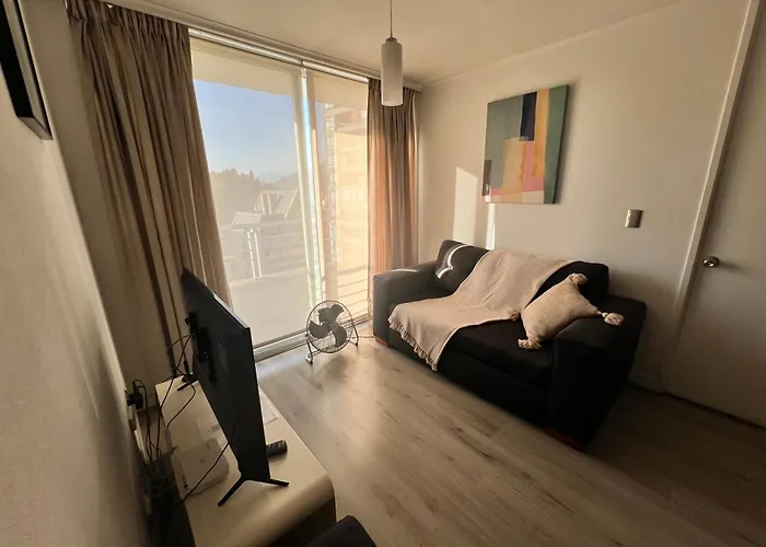 Acogedor Apartamento En Centro De Santiago.