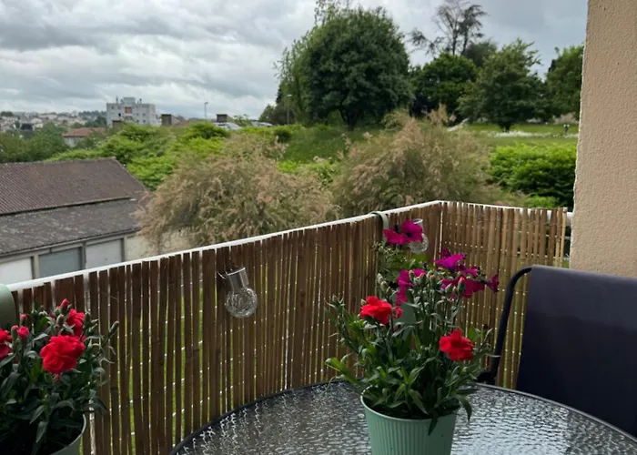 Appartement Chaleureux Et Spacieux T3