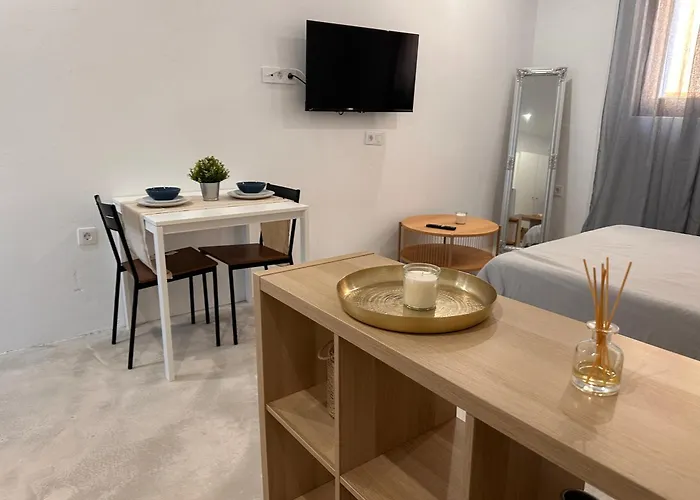 Euphorbia Suites