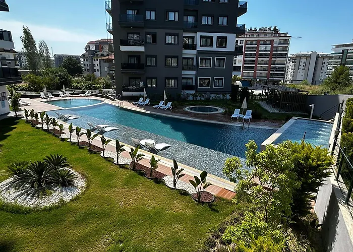Seda Holiday