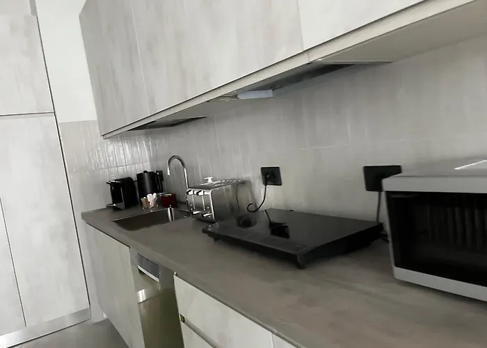 Cavallerizza Flat