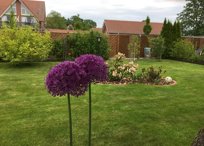 Kleine Sonnenblume